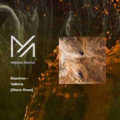 Bastinov - Valkiria (Original Mix)