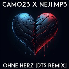 CAMO23 X neji.mp3 - Ohne Herz [TekkPulse Remix]
