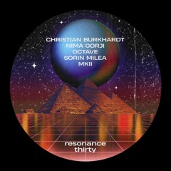 PREMIERE: Sorin Milea - Trees [Resonance Thirty]