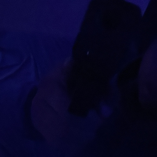 swipernoswipin