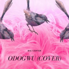 Big Carter - ODOGWU(cover)