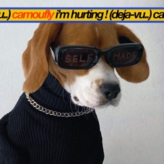 camoufly - i’m hurting ! (deja-vu..) [fenoaltea remix]