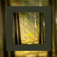 Atmo Sphere - Chill House Selection