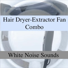 Hair Dryer Extractor Fan Combo/ Hybrid