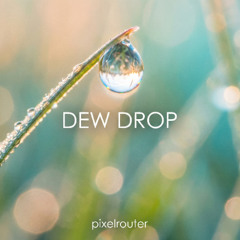 Dew Drop
