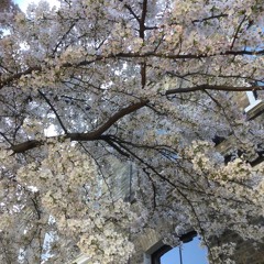 ELLE - JAY - Watcha (Granary Studio Version)