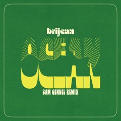 Brijean - Ocean (Sam Gendel Remix)