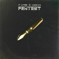 Pentest w/ UNISIXN