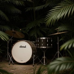 Enter The Drum