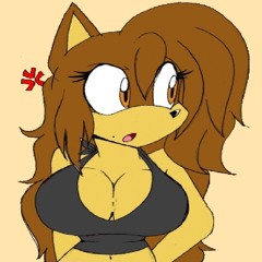 Para De Marra X Funk Do Sonic (Mashup)