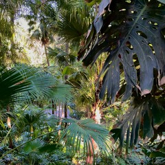 new year, new me - GAUCHO live mix