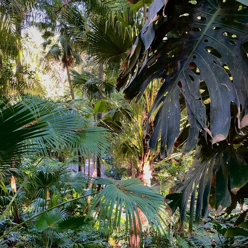 new year, new me - GAUCHO live mix