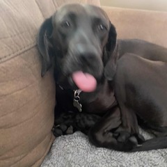 pov (prod. Boi Yanel)