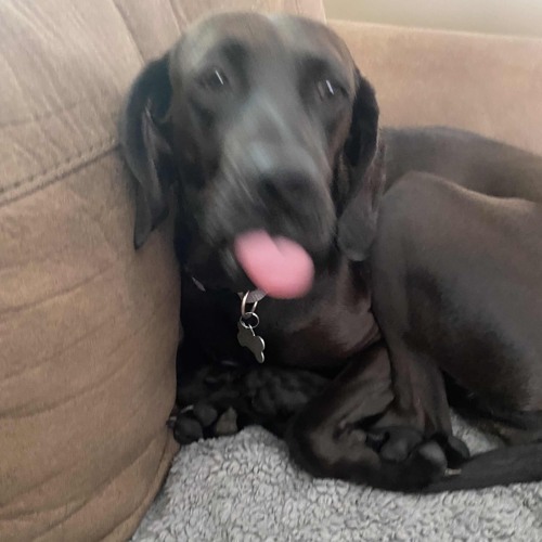 pov (prod. Boi Yanel)