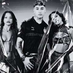 Tiago PZK, Anitta & Emilia - Alegría (Tech Funk Remix DJ Tássio Duarte)