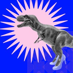 Zoldersessie || Disco