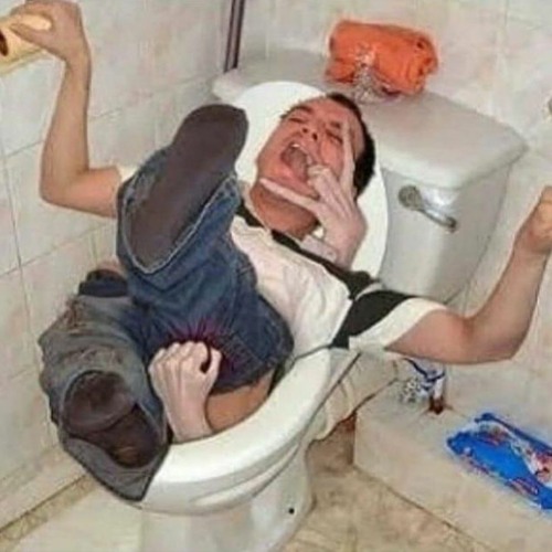 Hidden toilet sale
