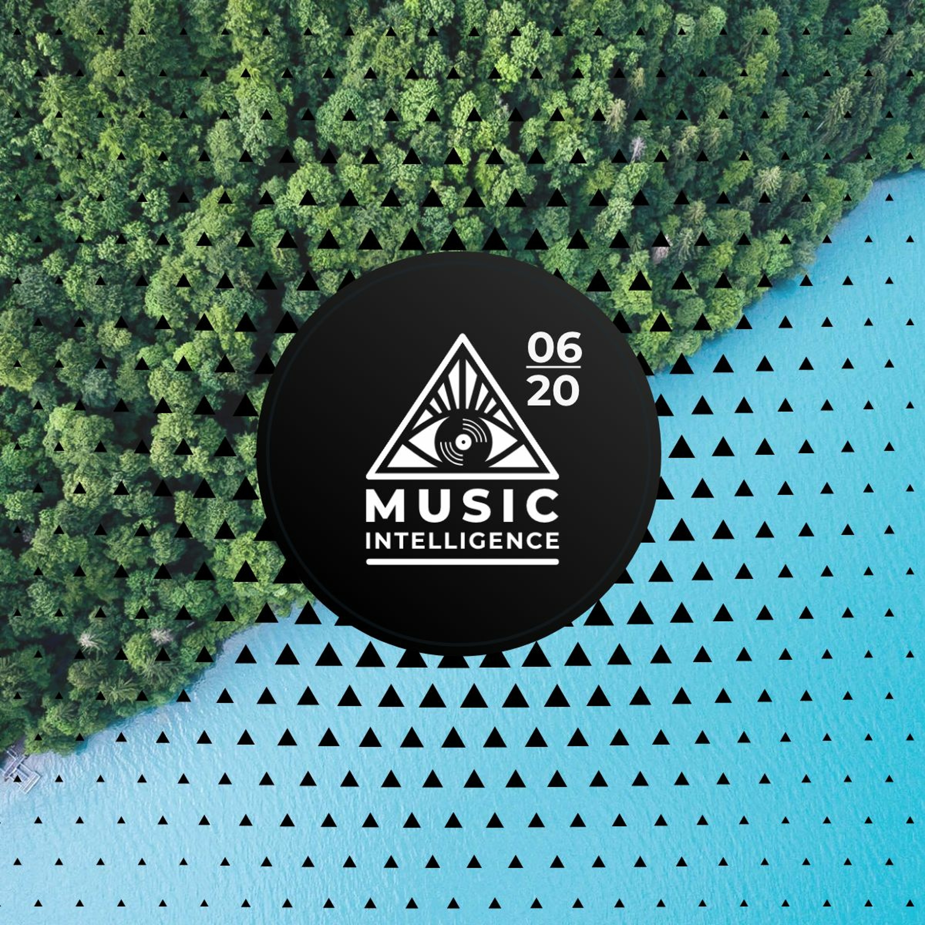 Music Intelligence Podcast