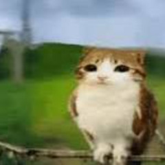 regex / bamport