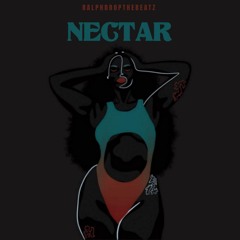 NECTAR - E MINOR 115 BPM