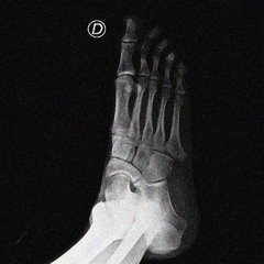 Dedicación Evolución