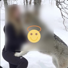 Clip@ [Video 18+] new one girl one wolf one girl one frog toto 22 dark web one girl one wolf video