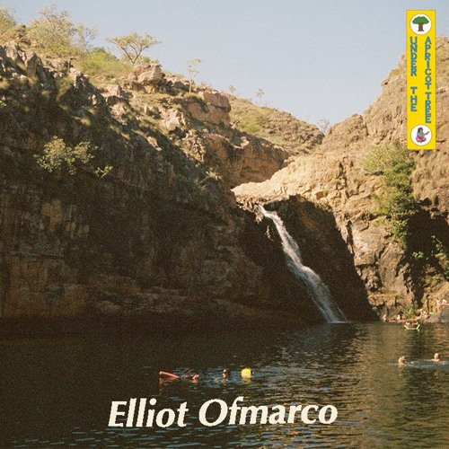 Apricot 28: Elliot Ofmarco