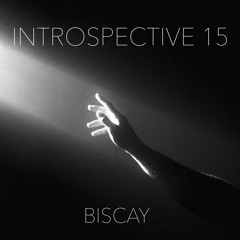 INTROSPECTIVE 15