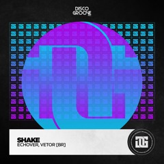 Echover , Vetor [BR] - Shake It (Stage Of My Head EP)