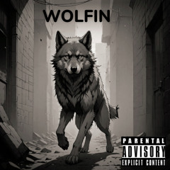 osoleano - wolfin p. stayincamo.m4a
