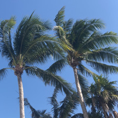 Time For This Thing To (Prod. Harry Fraud)