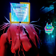 vitas vitae - somashrooms synthesis