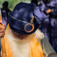 ਸ਼ਸਤਰਾਂ ‘ਤੇ ਚੌਰ ਸਾਹਿਬ - ਮਹੰਤ ਬਾਬਾ ਤਰਲੋਚਨ ਸਿੰਘ ਸਾਹਿਬ ਜੀ