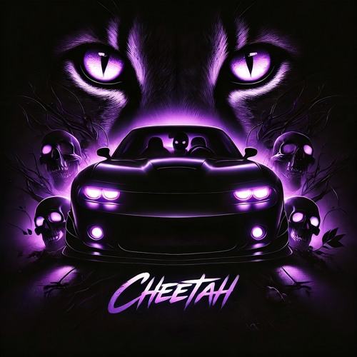 CHEETAH