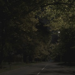 To Look Or To See (session)