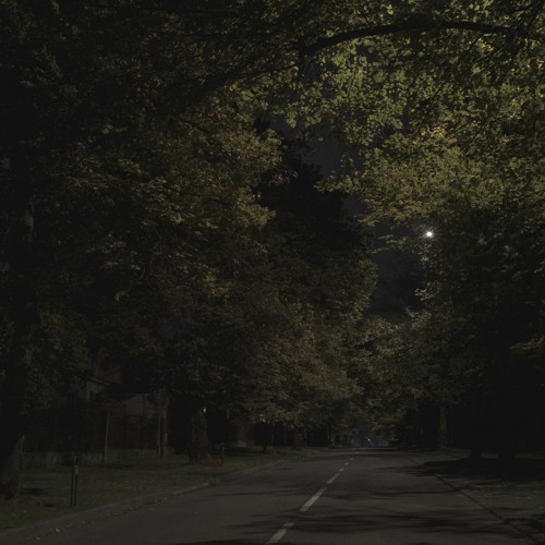 To Look Or To See (session)