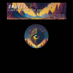 TL PREMIERE : Umwelt - Blackout Algorythm [New Flesh Records]