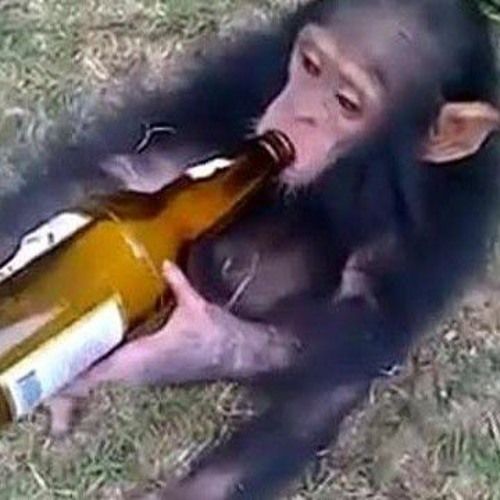 10 MINUTINHOS DE RETÃO NO BAILE DA N.H & P.U 2021 [ DJ VINNIZ & RENAN VALLE ]