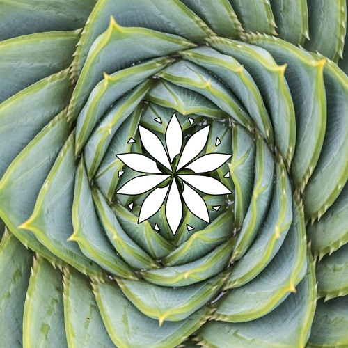 Spring Equinox 2025, mixed by Kiyom