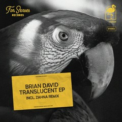 Premiere: Brian David - Translucent (ZAHNA Remix)