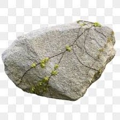 Rock