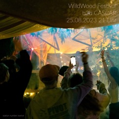 25.08.23 20.15 Uhr WildWood Festival b2b CASCAR