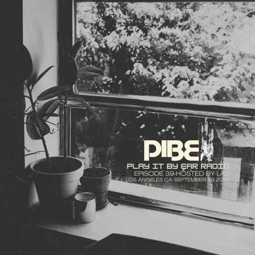 PIBE RADIO EPISODE 39