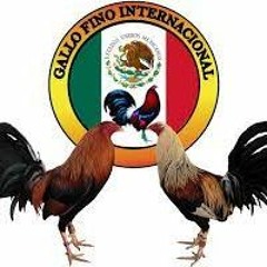 rottenuser #aligatorres2009