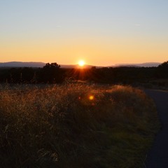 2023 - 02 - 25 morning