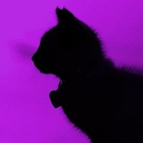 Фиолетовый котик