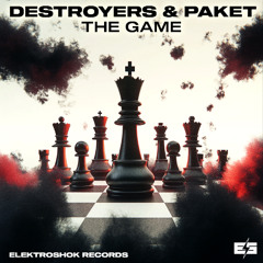 Destroyers & Paket - The Game