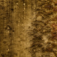 In The Unknown