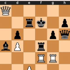 Bartholomew Christmas Special 2025