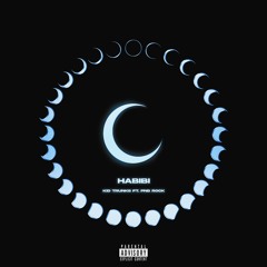 Habibi (Remix) [feat. PnB Rock]